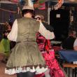 Spritzerball Lachheim am 26.01.2013 - Bild: 11