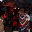 Spritzerball Lachheim am 01.02.2014 - Bild: 5